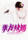 乘龙快婿演员表