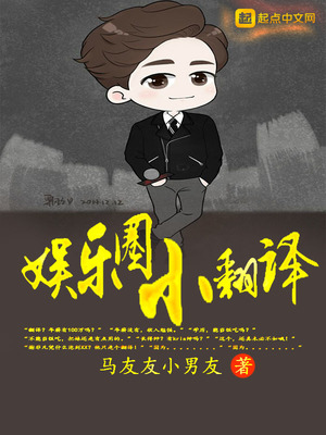 娱乐圈文里的外交翻译官小说