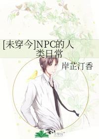[未穿今]npc的人类日常 小说