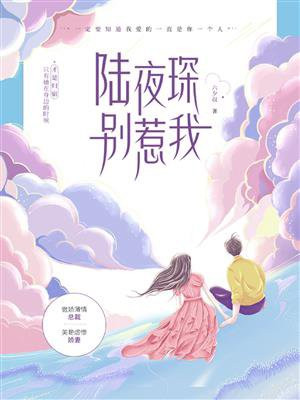 陆夜琛别惹我百度云