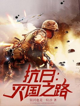 抗日:灭国之路 第27章