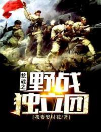 抗战之野战独立团顶点