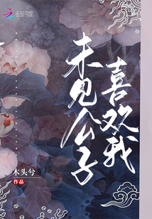 未见公子喜欢我txt百度云