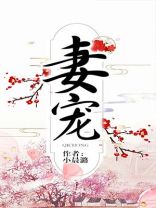 妻宠重生小晨潞全文免费阅读