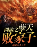 网游之孽天败家子
