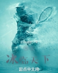 《网王同人之冰雪》