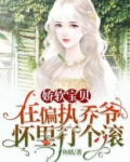 娇软宝贝:在偏执乔爷怀里打个滚_