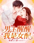 男主醒醒我是女配免费阅读