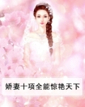 娇妻什么手册