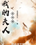 我的夫人是神捕