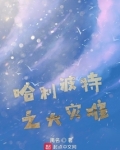 哈利波特之大灾难 小说