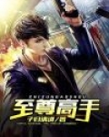 至尊高手在都市叶枫