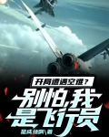 开局空军飞行员小说