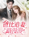 爸比追妻路漫漫