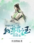穿越红楼之我是贾宝玉作文600