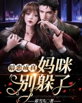 暗恋成真,妈咪别躲了