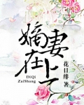 嫡妻在上(重生)晋江