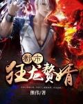都市狂龙赘婿 小说