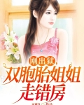 双胞胎姐姐找到失散的妹妹