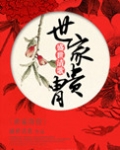 世家贵胄小说