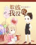 吃鸡教练模式