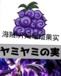 海贼开局暗暗果实小说