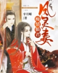 痴情仙君凤灵妻