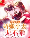 深宠撩人：娇嫩小妻太不乖