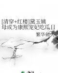 黛玉嫁给康熙的小说