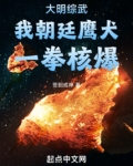 大明综武:我朝廷鹰犬,一拳核爆小说