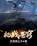 机战苍穹 小说
