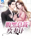 腹黑总裁专宠妻全文