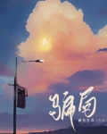 骗局 小说