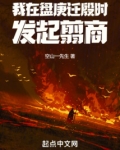 我在盘庚迁殷时发起翦商小说