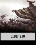 云陆飞纵