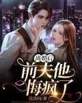 离婚后前夫他悔疯了免费阅读金发发