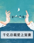 千亿总裁爱上宠妻