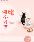 喵不可言剧情介绍