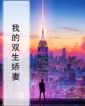 我的双生娇妻