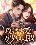 攻婚掠爱冷情总裁太凶猛txt
