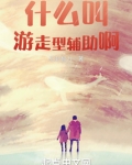 什么叫游走型辅助啊免费