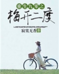 重生九零之梅开二度免费全文