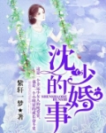慕少的婚事 小说