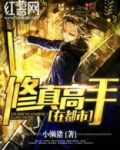 修真高手在都市 半壶清酒
