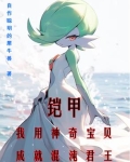 混沌的铠