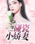 总裁的小娇妻全集免费观看