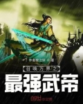 召唤万界之最强武帝 作者被注销