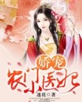 娇宠农门小医妃