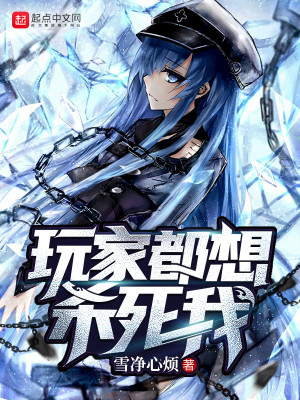 玩家都想杀死我 小说