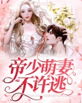 帝少萌妻不许逃